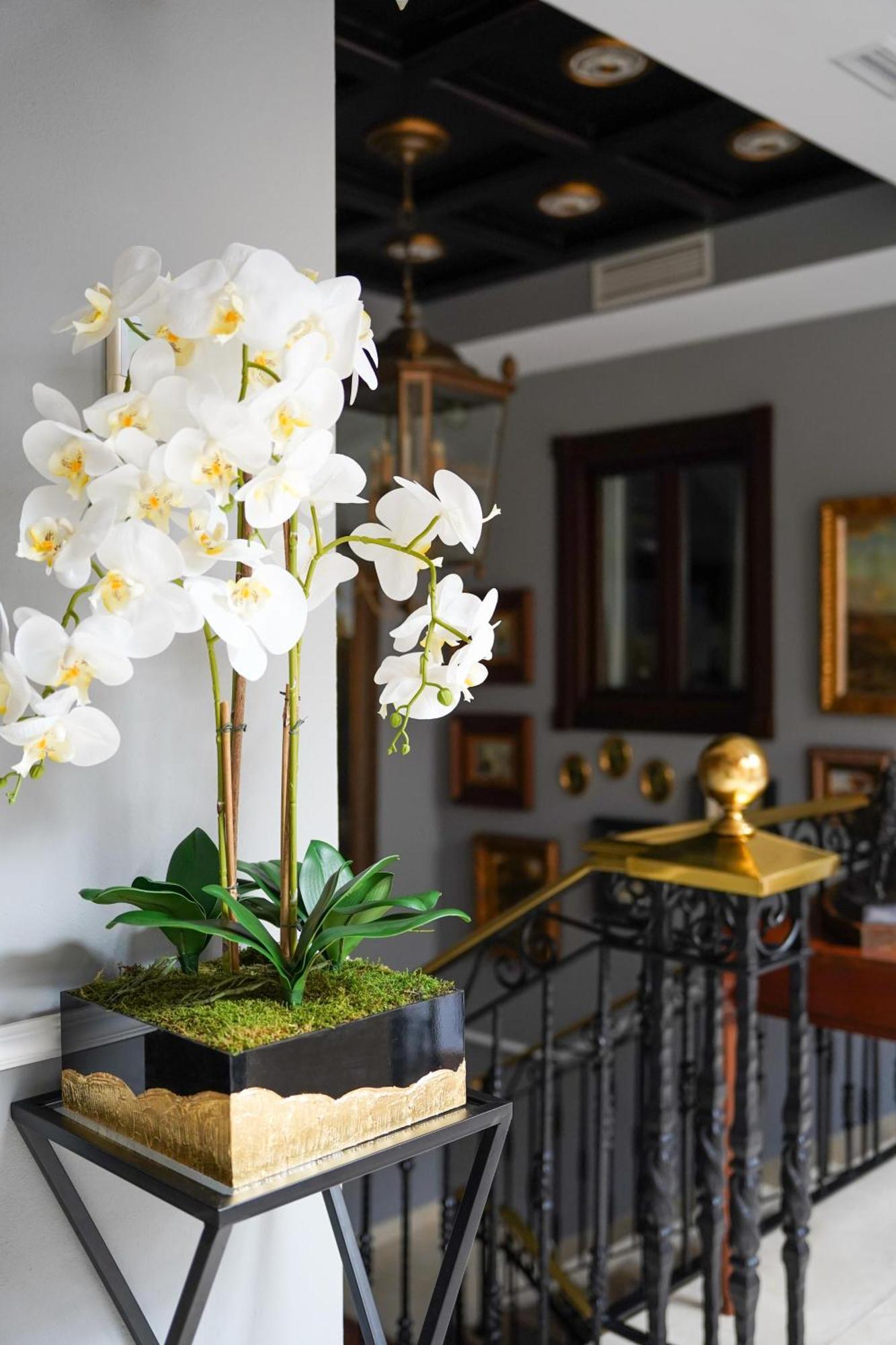 Hotel Boutique Casa Veracruz Estepona Dış mekan fotoğraf